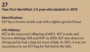 27's page in the 2022 Bears of Brooks River book page 30