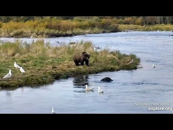 26_Sep_2020-_26_Watches_27_Dive