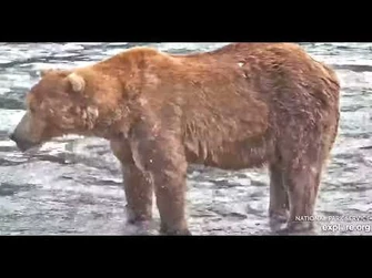 83_Wayne_Brother_2021