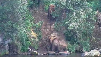 14_Jul_2019_68_Blocks_856_by_mckate