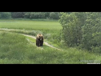 Beautiful_Backpack_on_spit_road_Explore.org_7-2-2021