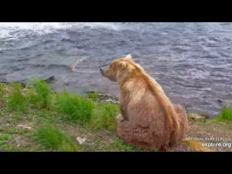 89_Backpack_Stops_by_the_Falls_-_June_30,_2024_(explore.org)