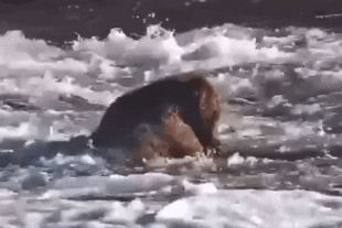 99 October 9, 2022 gif by LunaCre