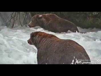 747_and_856_share_the_far_side_of_the_falls_-_Explore.org_September_18,_2022