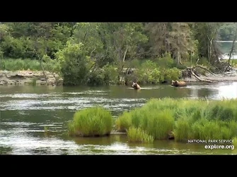 27_Jun_2020-_856's_Pursuit_of_402_Continues_Unabated