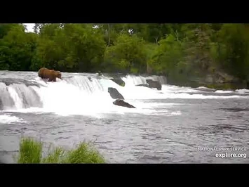 856-747_2021_07_09_Courtesy_of_Explore.org