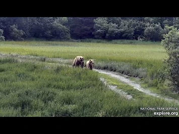 26_Jun_2021-_435_Holly_and_Her_Girl_Walk_the_Spit_Road