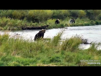 3_Sep_2020-_811_Gives_Chase