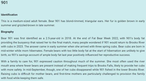 901 INFO 2023 FAT BEAR WEEK MEET THE BEARS ID & BIOGRAPHY