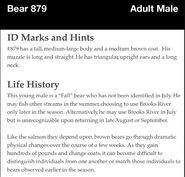 879 ID Marks & Hints; Life History
