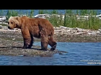 13_Jul_2023-_133_Poses_on_the_Spit_(explore.org)