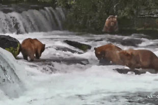 146, 99 and 164 (left to right) July 6, 2022 gif by LunaCre
