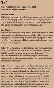 171's page of the 2017 Bears of Brooks River book, page 42 ~ info only