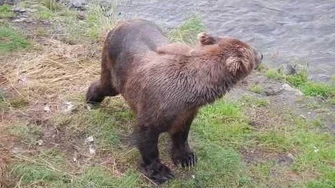 128_showdown_2016,_video_by_Amalia_Garduno