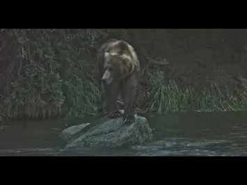 89_returns_-_Explore.org_July_7,_2022-2