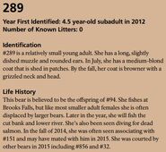 289's page of the 2016 Bears of Brooks River book, page 43 ~ information sections only