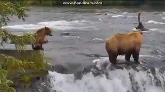 402_&_503_7_8_2014,_video_by_stmango