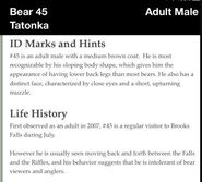45 Tatonka's information from the 2012 Brown Bears of Brooks Camp iBook