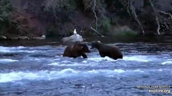 21_Jul_2020_634_Boots_503_From_Far_Pool,_video_by_mckate