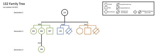 Family-tree-rq-132