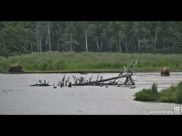 747_and_856_interaction_-_Explore.org_June_30,_2022