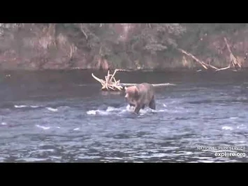 89_Backpack_scavenging_8-28-2020