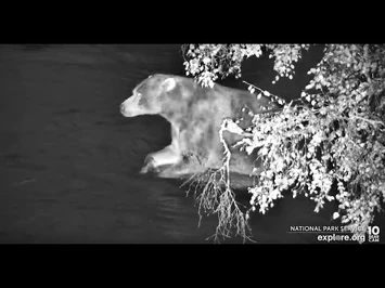 89_after_sunset_-_Explore.org_September_18,_2022