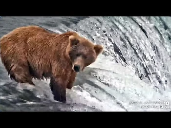 13_Jul_2022-_505_Fishes_the_Lip_(explore.org)