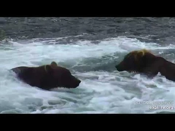 5_Aug_2018-_503_and_912_Play_in_the_J