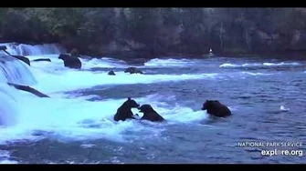 15_Sep_2018_89_Backpack_Retuns_to_the_Falls,_video_by_mckate