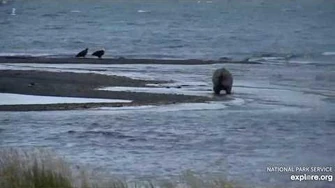 435_Holly_on_the_point_with_eagles_9_12_2019,_video_by_Lani_H
