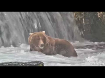 89_-_Explore.org_October_2,_2021-3