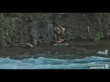 89_-_Explore.org_September_8,_2022-2