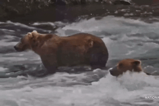 27 August 8, 2022 gif by LunaCre