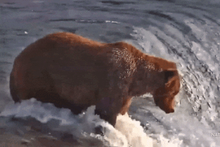 99 September 23, 2022 gif by LunaCre