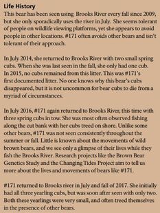 171's 2018 Bears of Brooks River book page 43 Life History Section Only