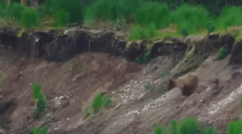 609 GIF 2025.06.23 LOOKOUT CRUISER p 09.37