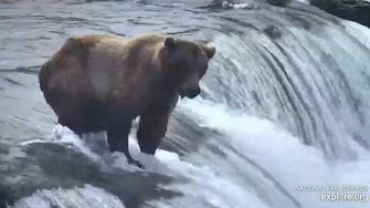 402_on_the_lip_and_856_in_the_J_6_22_2020,_video_by_Lani_H