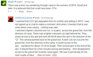 Goldilocks' February 15, 2018 comment re: day that 171 and her smaller, darker 2014 spring cub were separated in July or August 2014