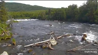 24_Jun_2020_856_Spots_151_Approaching_402,_video_by_mckate-1