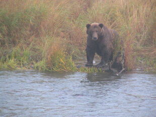 879 September 29, 2007 NPS photo