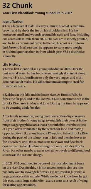 32 Chunk's page in the 2022 Bears of Brooks River book page 64