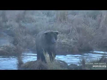 26_along_the_river_9-29-2020