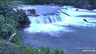 128_Grazer_and_89_Backpack_have_words_7_10_2018_appx_11_pm_AK_by_Lani_H-0