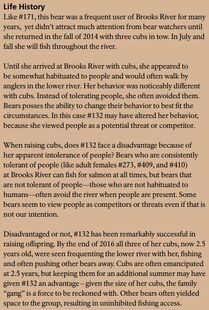 132's page of the 2017 Bears of Brooks River book page 40 ~ Life History section only