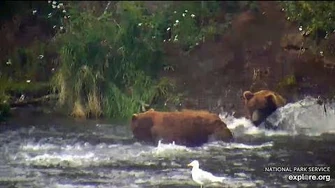 18_Jul_2020_856_Surprises_32_Chunk_by_mckate