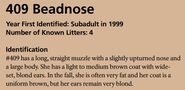 409 Beadnose's page of the 2018 Bears of Brooks River book, page 49 ~ Identification section only