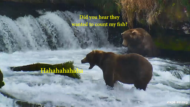 Fishcount