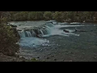 856_returns,_catches_one_in_the_J_-_Explore.org_June_24,_2022-2