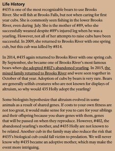 435 Holly's page of the 2017 Bears of Brooks River book, page 52 ~ Life History section only